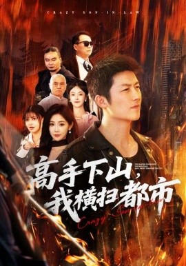 高手下山，我橫掃都市(全集)