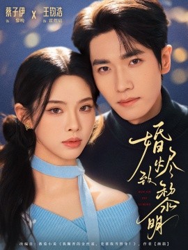 婚燼致黎明(全集)