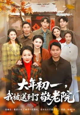 大年初一，我被送到了敬老院(全集)