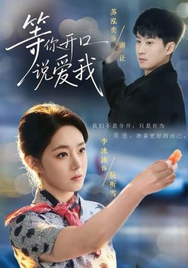 等你開(kāi)口說(shuō)愛(ài)我(全集)