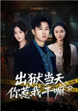 出獄當(dāng)天，你惹我干嘛？(全集)