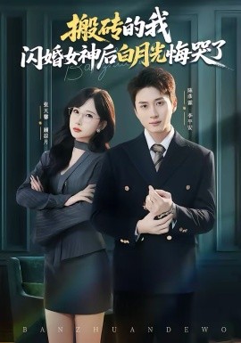 搬磚的我，閃婚女神后白月光悔哭了(全集)