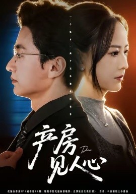 產(chǎn)房見(jiàn)人心(全集)
