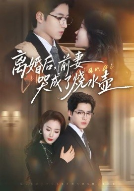 離婚后，前妻哭成了燒水壺(全集)