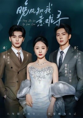 晚風(fēng)知我意難尋(全集)