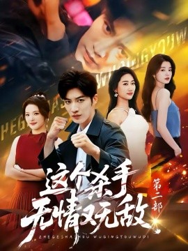 這個殺手無情又無敵第二部(全集)