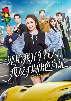 誣陷我開車撞人，我反手掏出色盲證(全集)