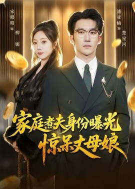 家庭煮夫身份曝光驚呆丈母娘(全集)