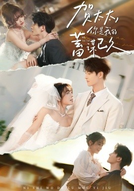 賀太太，你是我的蓄謀已久(全集)