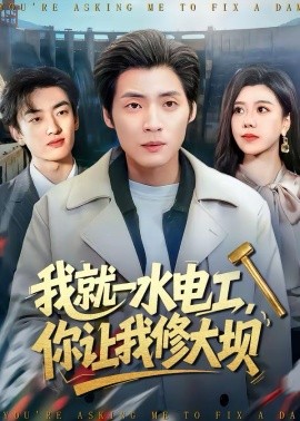 我就一水電工，你讓我修大壩(全集)
