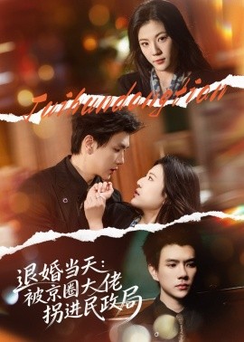 退婚當(dāng)天：被京圈大佬拐進(jìn)民政局(全集)