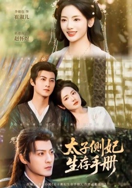 太子側(cè)妃生存手冊(全集)