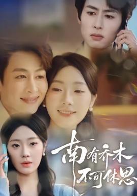 南有喬木，不可休思(全集)