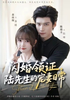 閃婚領(lǐng)證，陸先生的寵妻日常(全集)