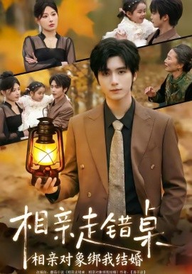 相親走錯桌：相親對象綁我結(jié)婚(全集)